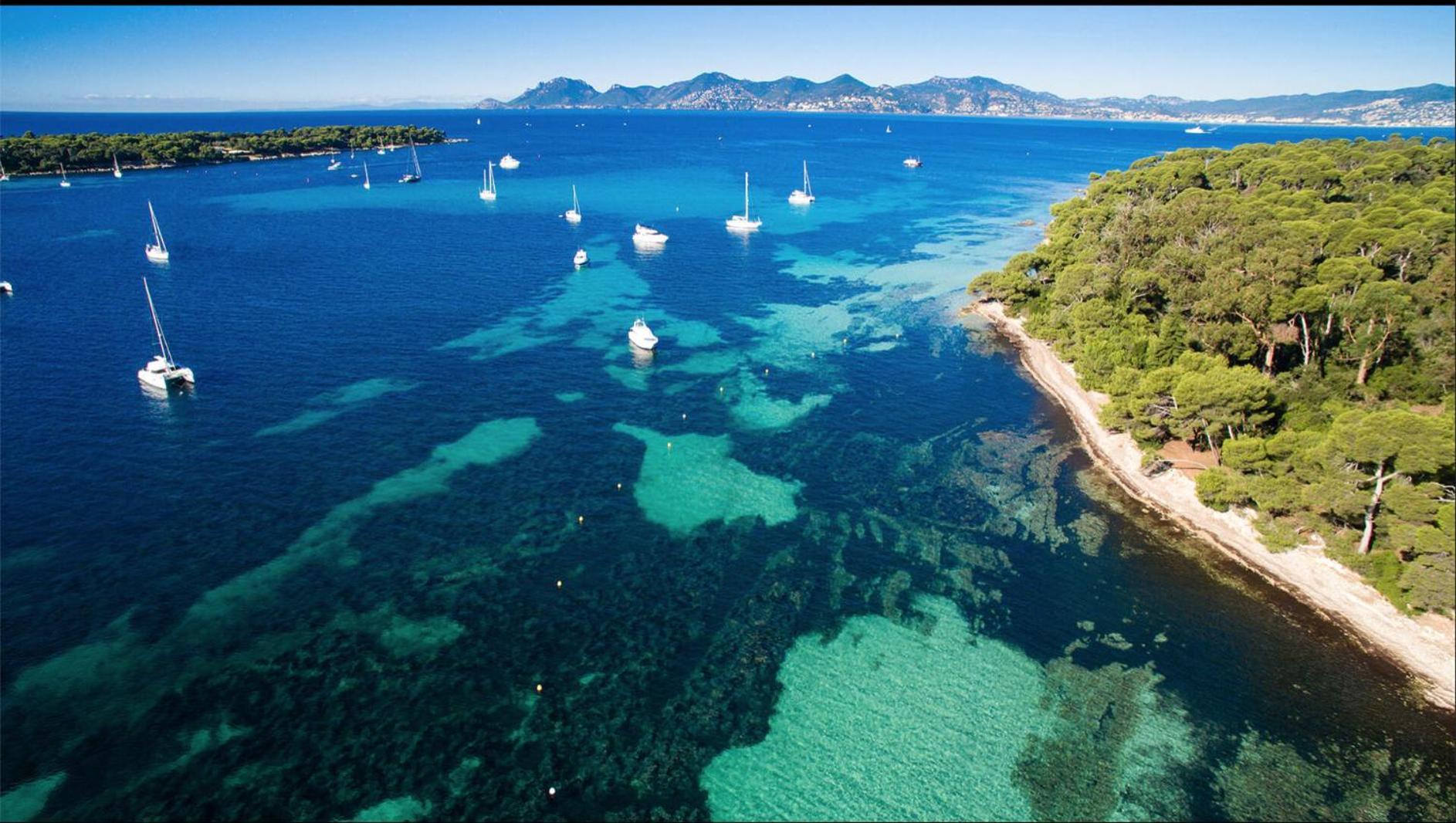Le Bristol Cannes Exterior foto